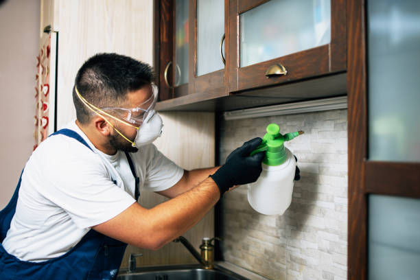 Pest Control Cost in Aurora, MO